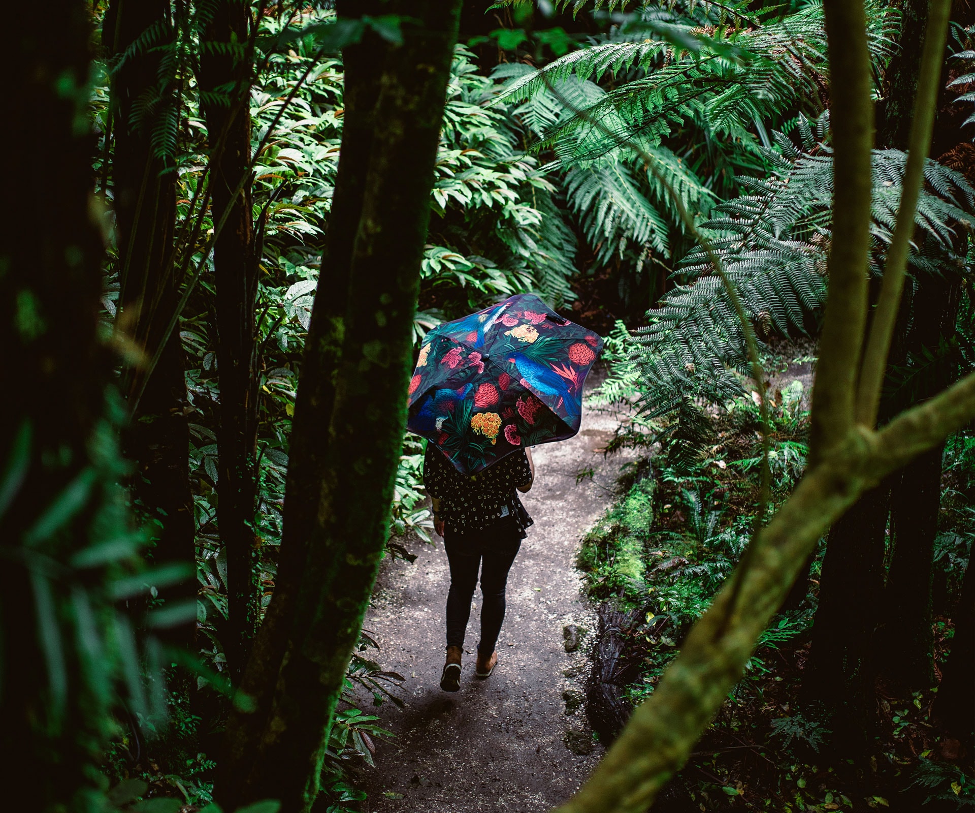 nature