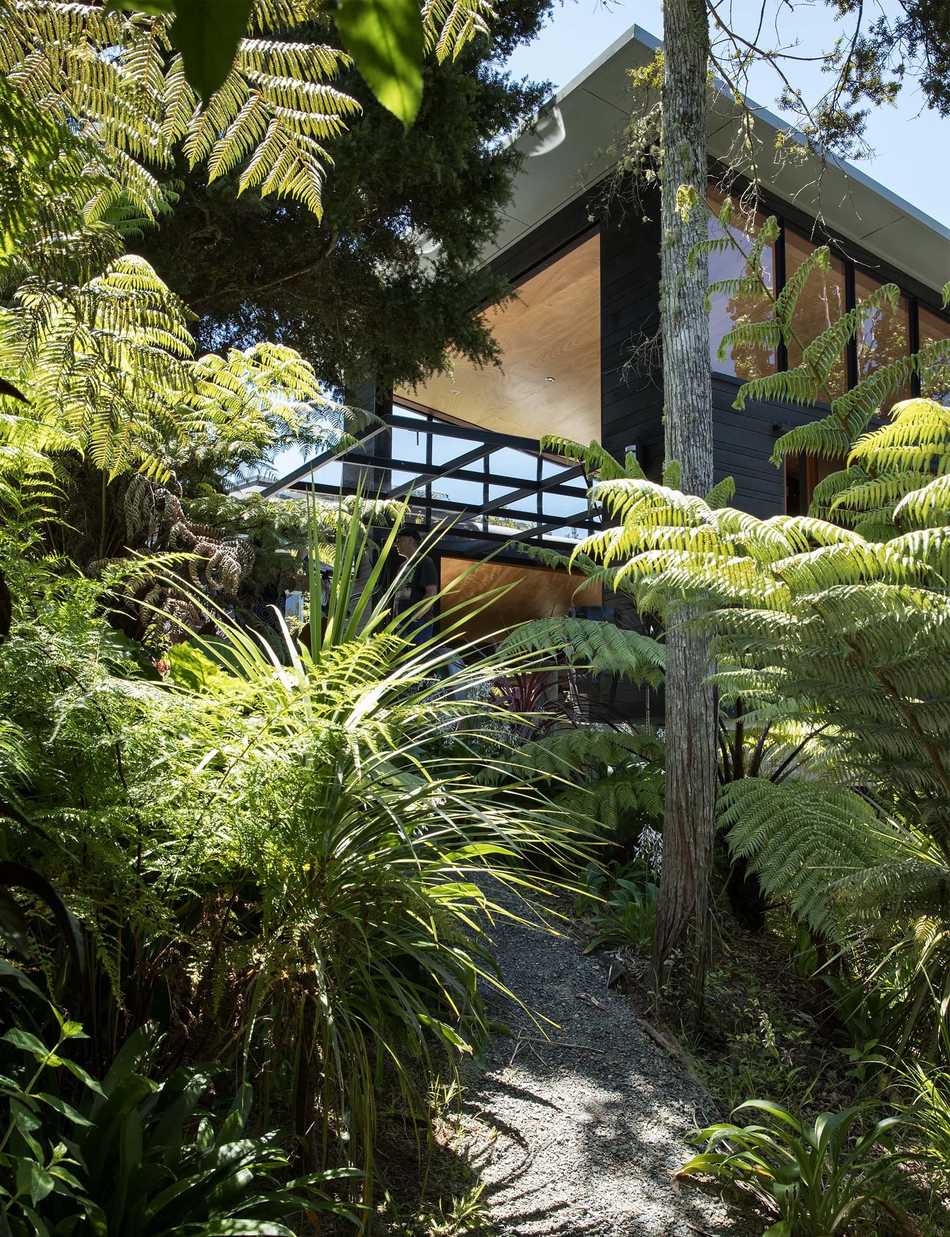 tennis court prime spot, Strachan Group Architects